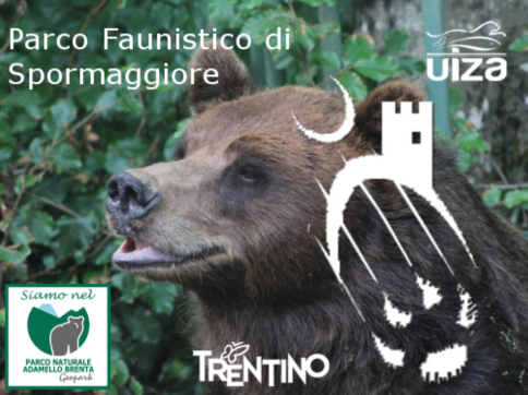 GIORNALINO FNP DEL TRENTINO APRILE 2020