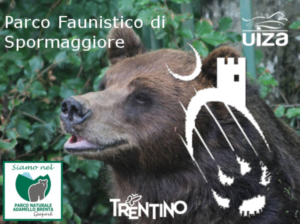 imm_5194_parco-faunistico.jpg